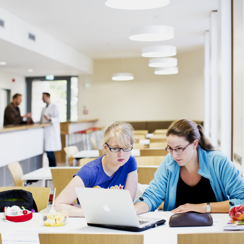 Das Lerncafe im Erdgeschoss dient dem Austausch der Studierenden untereinander.
Die rund 40 Plätze laden zur Gruppenarbeit ein